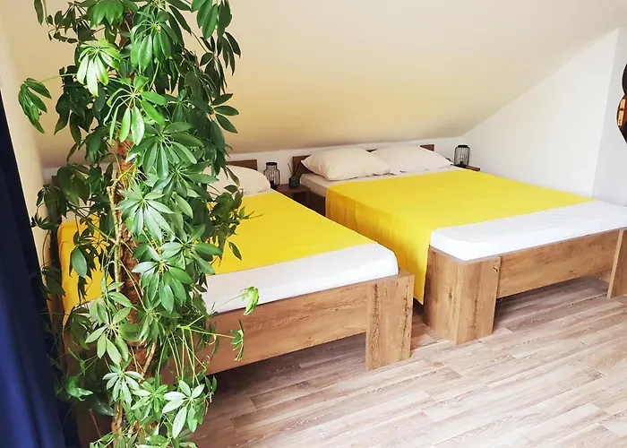 Sun's Ray Daire Mostar